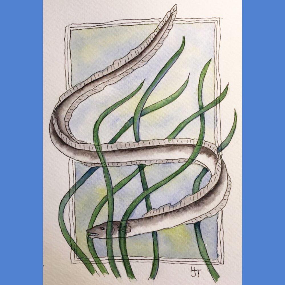 The European Eel - one of millions of species facing extinction