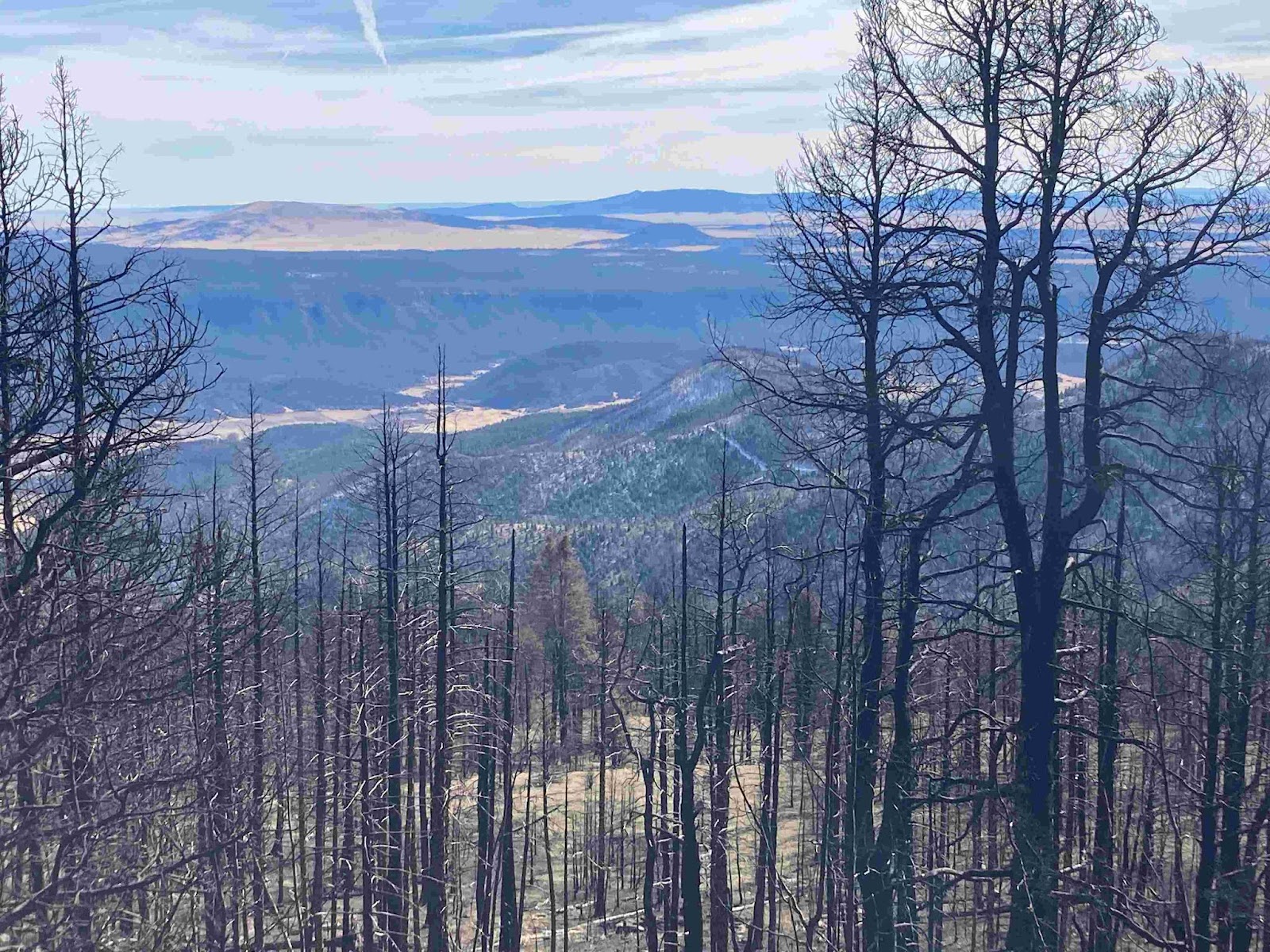 Uma foto tirada da encosta de uma colina ou montanha, olhando parabaixo. Em primeiro plano está uma densa floresta de árvores mortas eenegrecidas pelo fogo. Para além delas, cadeias de colinas estendem-se aolonge. Enormes manchas de sol e sombra salpicam a paisagem, e o céu estálistrado de branco e azul com nuvens. A imagem é adorável de uma formalenta, vasta e icónica. Alguns dos galhos mortos brilham ao sol quase comoteias de aranha.
